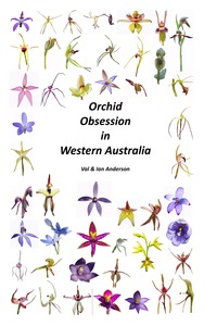 Orchid Obsession